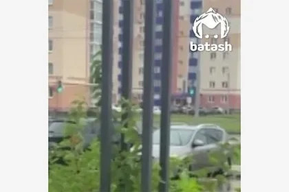 Жесткое задержание российского чиновника с портретом Басаева попало на видео