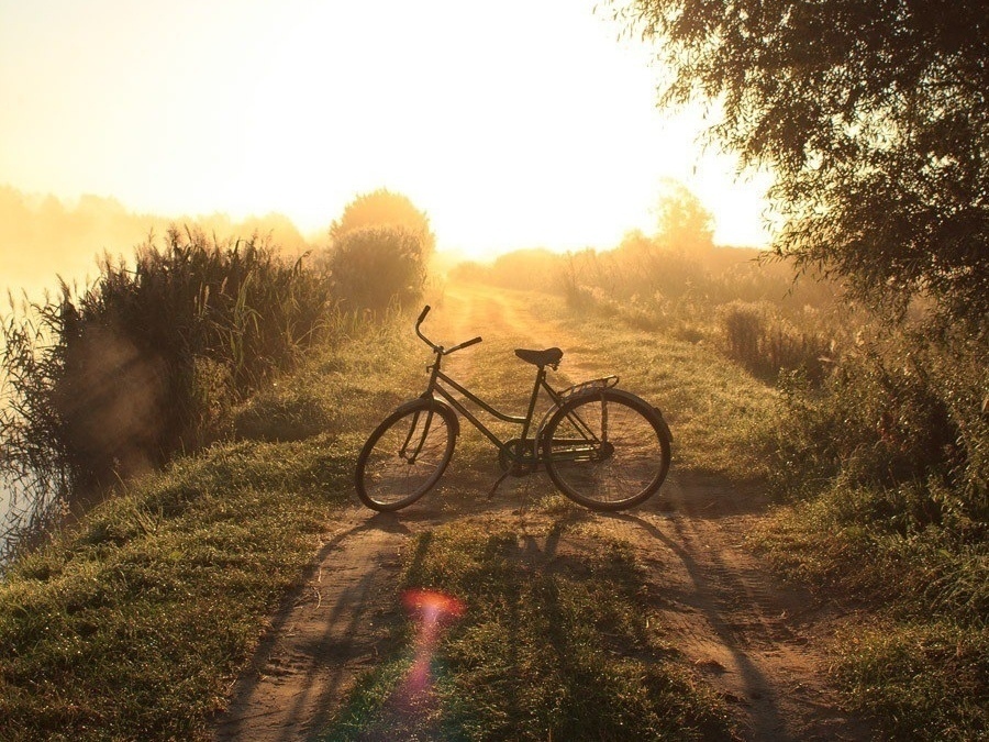Классные фотографии и шикарные картинки из нашей жизни смешные картинки,угарные фотки,фото приколы
