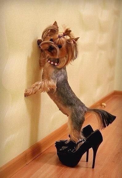 Написала письмо Деду Морозу. Отдала мужу. Жду веселые картинки