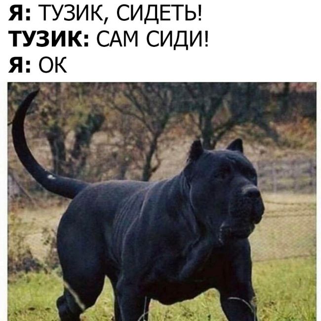 Подборка картинок. Дневной выпуск (54 фото)