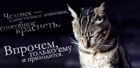 цитаты со смыслом и картинки с цитатами цитаты со смыслом и цитаты в картинках 21