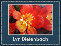 Lyn Diefenbach 