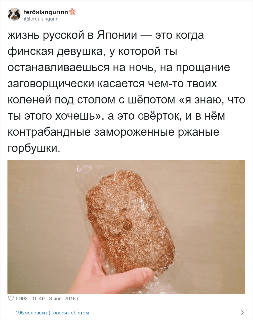 Девушка из России живёт в Японии и рассказывает об этой стране так, как не сумеет ни один гид Девушка из России живёт в Японии и рассказывает об этой стране так, как не сумеет ни один гид жизнь,интересное,япония