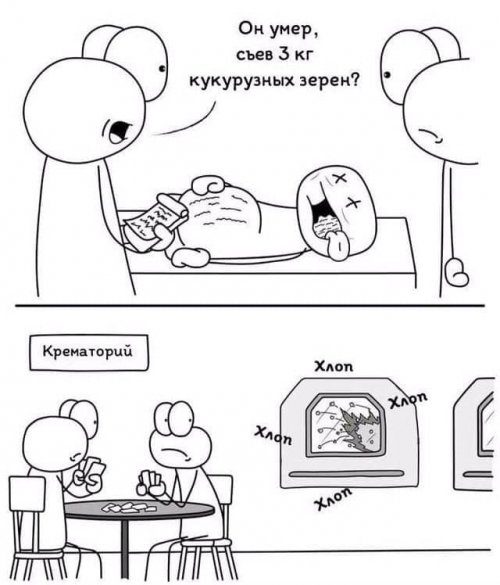 Фотоприколы и смешные картинки Фотоприколы и смешные картинки