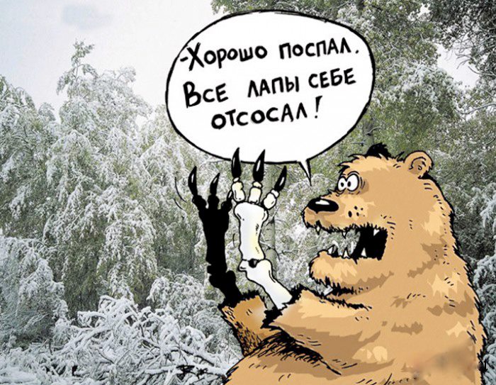 Берлога картинка прикол, открытка