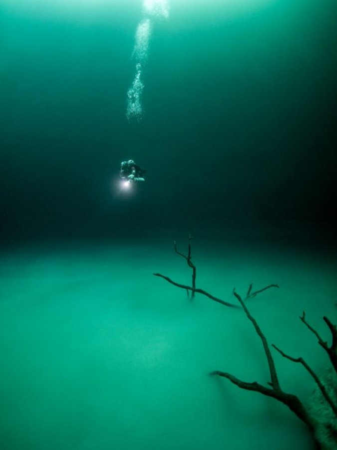 Вертикальная пещера затоплена водой можно найти уровень. Сенот Ангелита. Талассофобия Лавкрафт. Подводный мир озера. Подводные озера в океане.