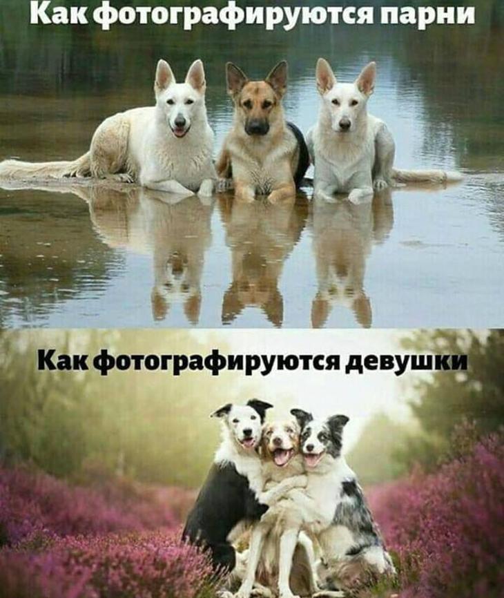 - Пап, а ведь ведьмы не существует?  Отец, глянув на тещу... когда, которые, преуменьшают, Выпили, сдохли, цыгане, чтобы, евреи, русские, письма, сельдерей, режешь, фотографии, сжигаешь, одесских, бьешь, посуду, громишь, ломаешь, сыплешь