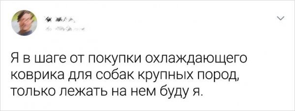 ПОДБОРКА ЗАБАВНЫХ ТВИТОВ О ЖАРЕ история,прикол,юмор