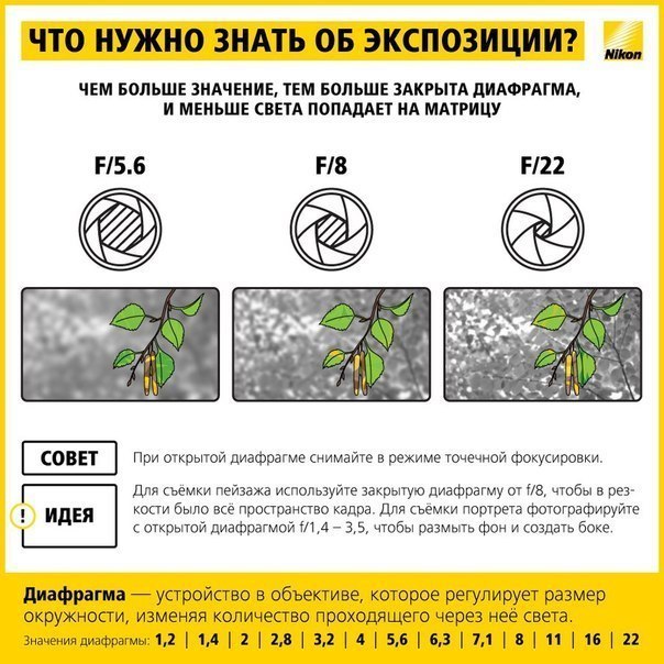 Памятка по настройке экспозиции в фотоаппарате