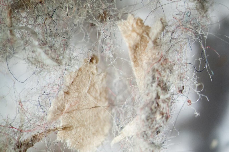 домашняя пыль под микроскопом
