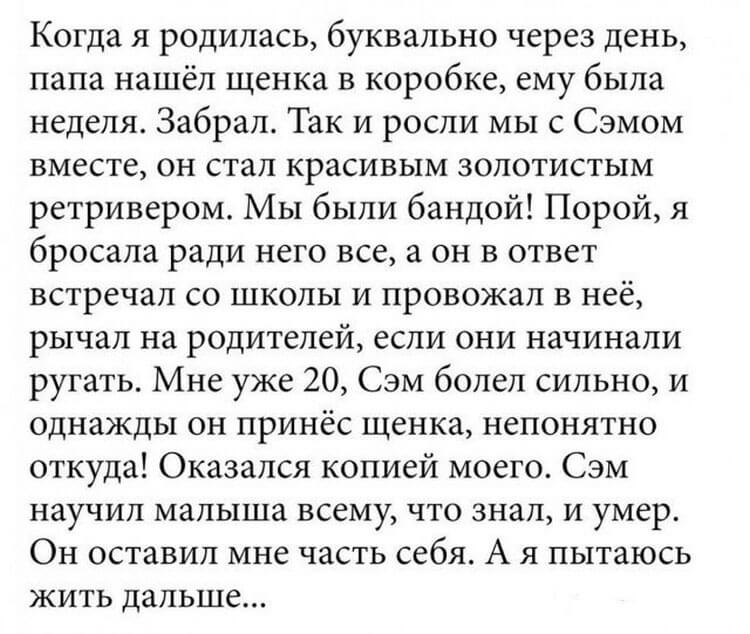 Подборка смешных и жизненных историй Подборка смешных и жизненных историй