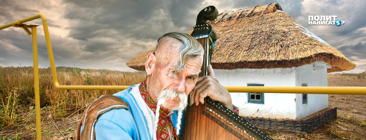 В Киеве чешут затылки: «Великая аграрная держава» вышла совсем не такой, как обещали в США