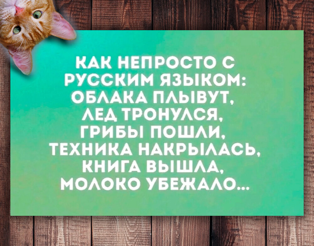 Купил умный утюг. Полдня рассуждали с ним о смысле жизни Купил умный утюг. Полдня рассуждали с ним о смысле жизни Купил, история , будем, сервисов, российских, других, многих, белого, Красного, Правда, меня , успокоительный, прям , напоследок , делать, бесит, сбора, этого, запах, пачку