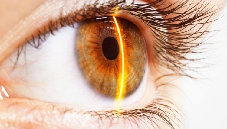 На что и почему реагируют зрачки человеческих глаз? зрачков, зрачки, человека, людей, размер, зрения, зависимости, объектов, человек, может, точек, расширяются, глаза, когда, ярком, видеть, можно, оболочки, света, количество