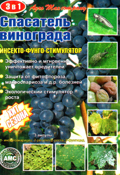 Чем опрыскивать виноград от болезней Чем опрыскивать виноград от болезней советы