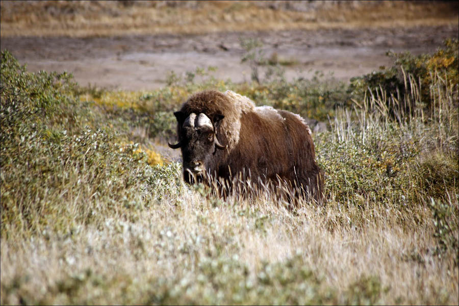 На краю света на яхте путешествия