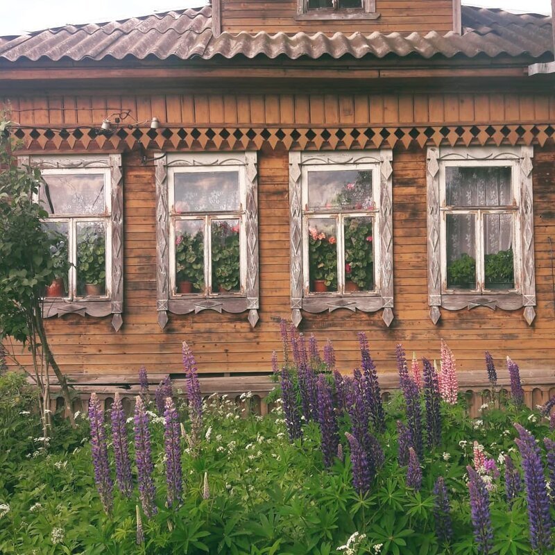Трогательные снимки русской деревни, которые напоминают о беззаботном детстве