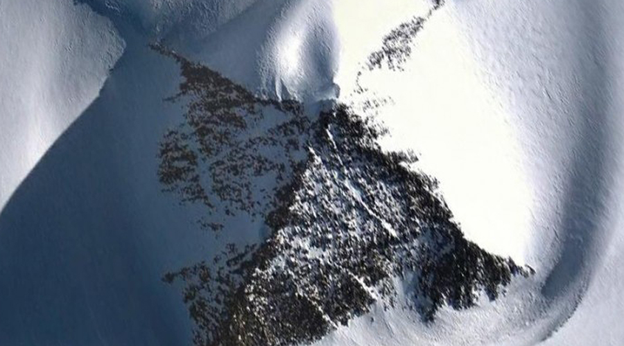  Что такого шокирующего нашли ученые в Антарктиде 
