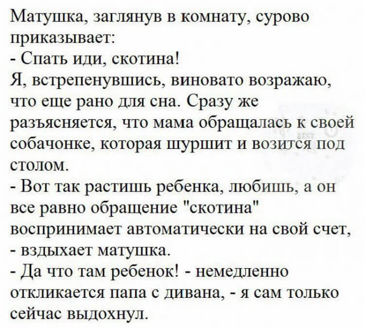 Подборка смешных и жизненных историй Подборка смешных и жизненных историй