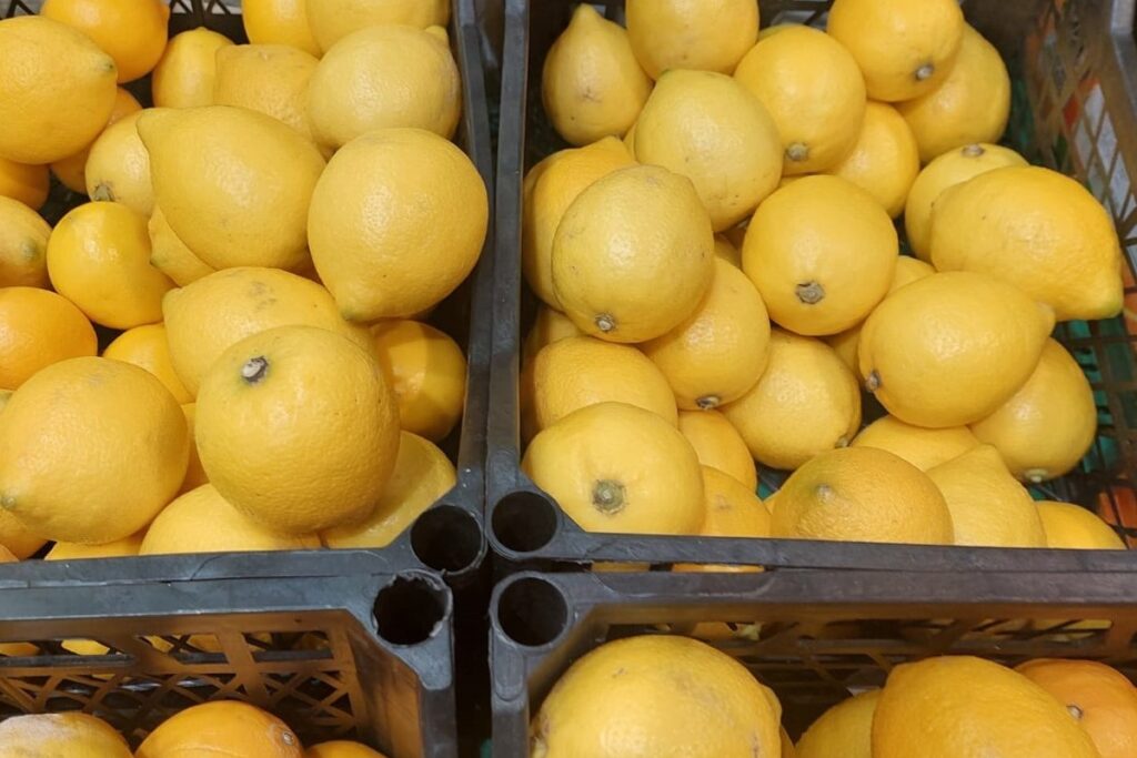 Вместо лимона — мед: как начать утро мягко и с пользой