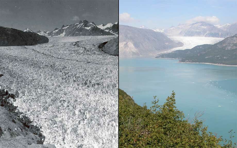 Ледник на Аляске. Слева — в 1941 году (вся долина заполнена льдом), справа — в 2004 году.
U. W. O. Field; B. F. Molnia, Glacier Photograph Collection 

National Snow and Ice Data Center/World Data Center for Glaciology
