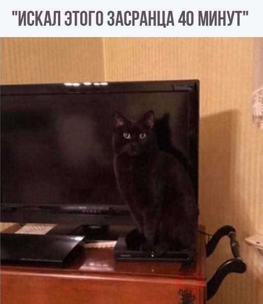 Счастье – это когда в аптеке, кроме презервативов, ничего не нужно Счастье – это когда в аптеке, кроме презервативов, ничего не нужно анекдоты,веселье,демотиваторы,приколы,смех,юмор