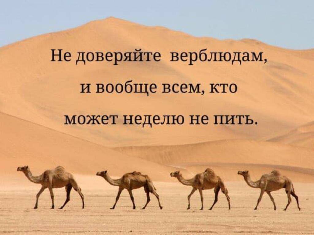 Отец дочери: — Сарочка, ну и сколько же зарабатывает твой новый ухажёр?... весёлые, прикольные и забавные фотки и картинки, а так же анекдоты и приятное общение