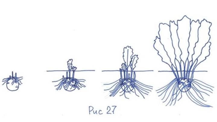 Смешные статусы. Послали идите движение это жизнь картинка. Как культурно послать человека. Идите на фиг. Посылать максимальный.