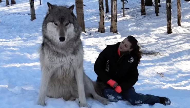 Подборка смешных картинок. Вечерний выпуск Подборка смешных картинок. Вечерний выпуск приколы,смешные картинки,юмор