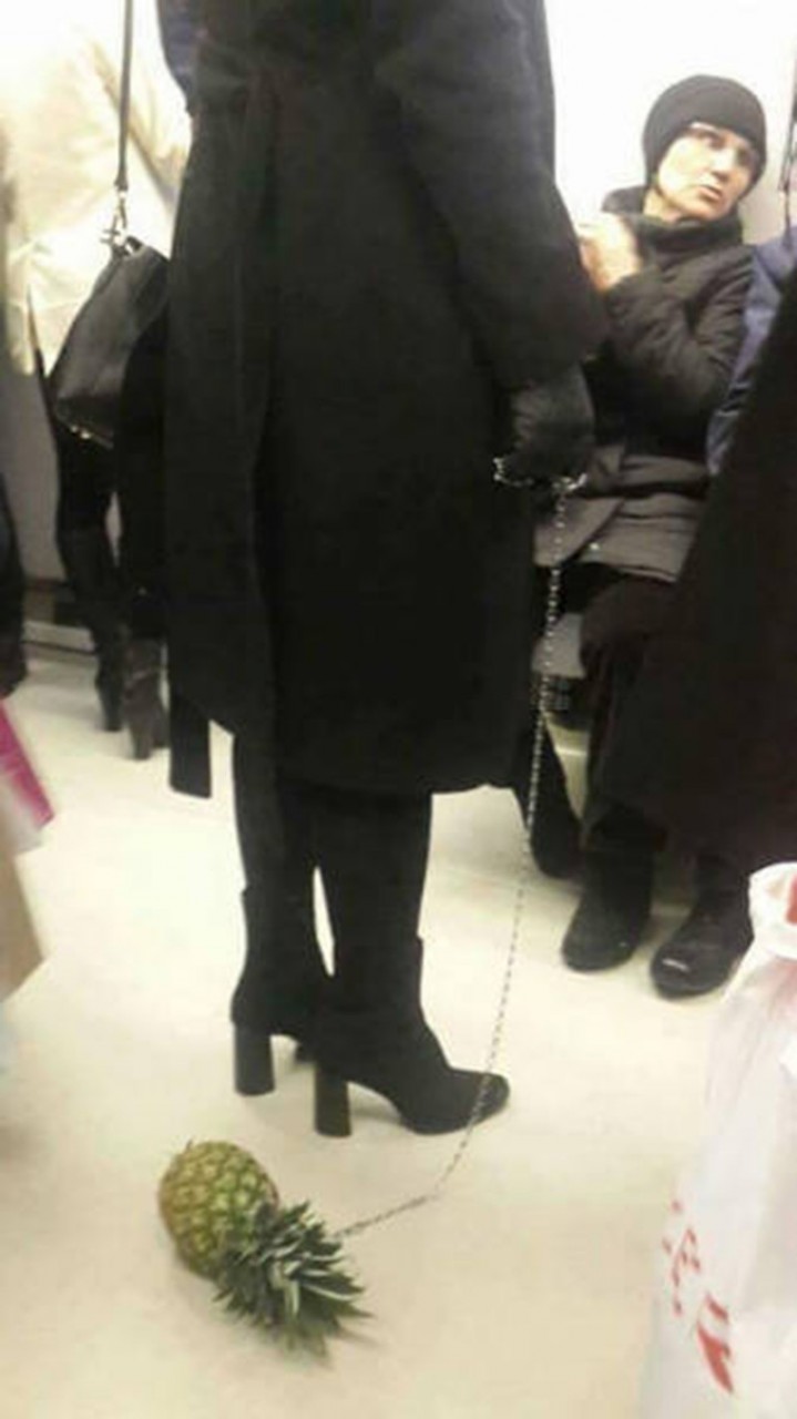 20. Ананас дозревает в пути смешные ситуации, фото, что здесь происходит, юмор