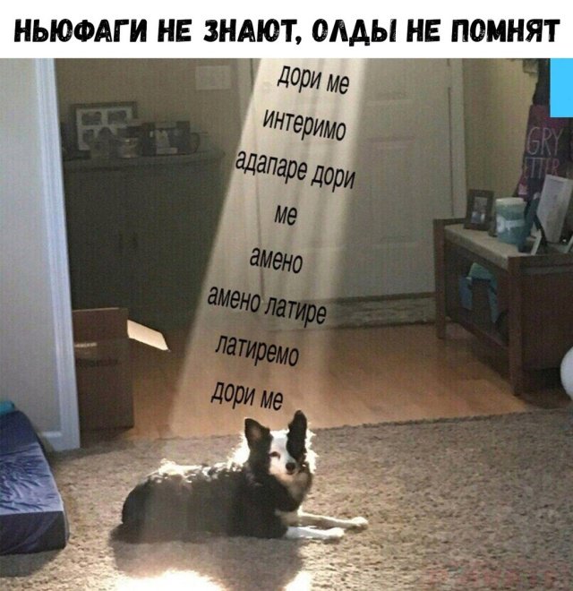 Фотоподборка пятницы юмор