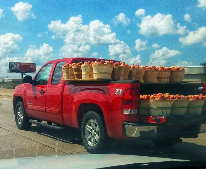 Забавные ситуации на дороге, в которых точно не хотелось бы оказаться автокурьезы