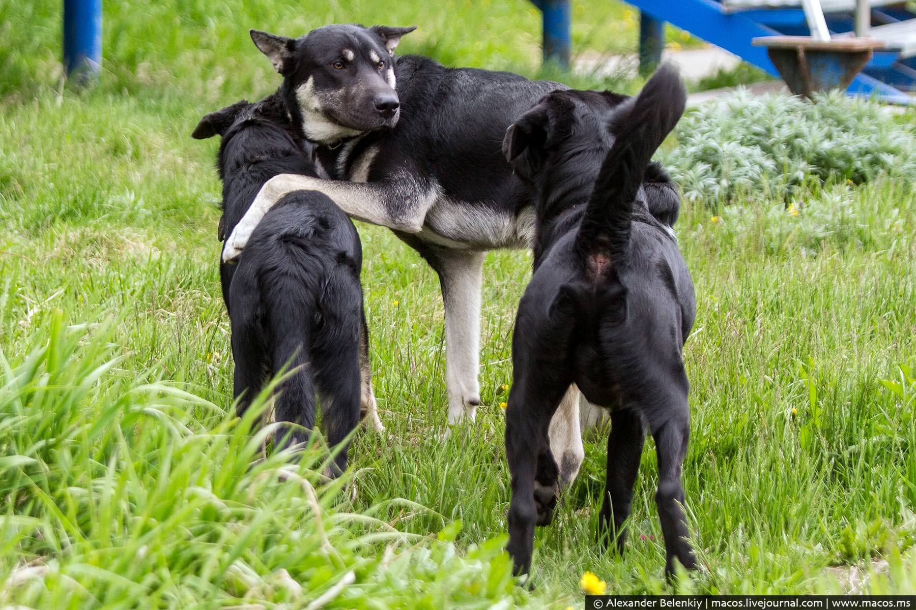 Анадырь - самый яркий город России Анадырь - самый яркий город России путешествие,Россия,туризм