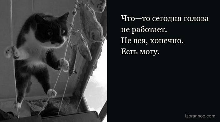 Ем конечно. Что то сегодня голова не работает. Что то сегодня голова не работает не вся конечно. Голова не работает не вся конечно есть могу. Что сегодня голова не работает.