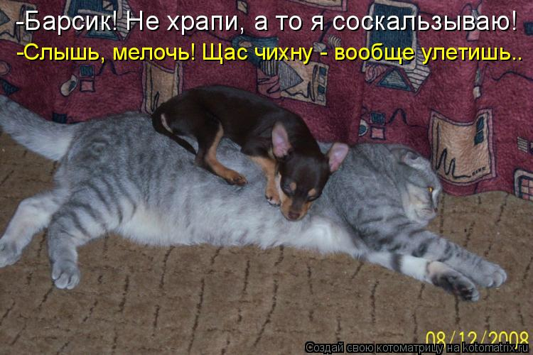 Улыбнись! Улыбнись! демотиваторы