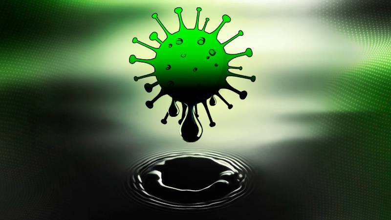 Пандемия коронавируса: самое важное за 23 декабря