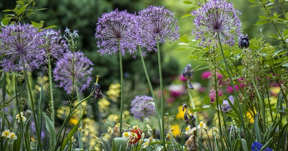 8 классных решений для сада, от которых часто отказываются  