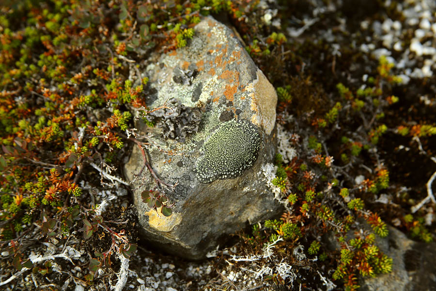 На краю света на яхте путешествия