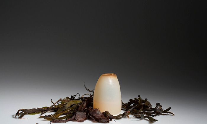 биоразлагаемые бутылки из водорослей