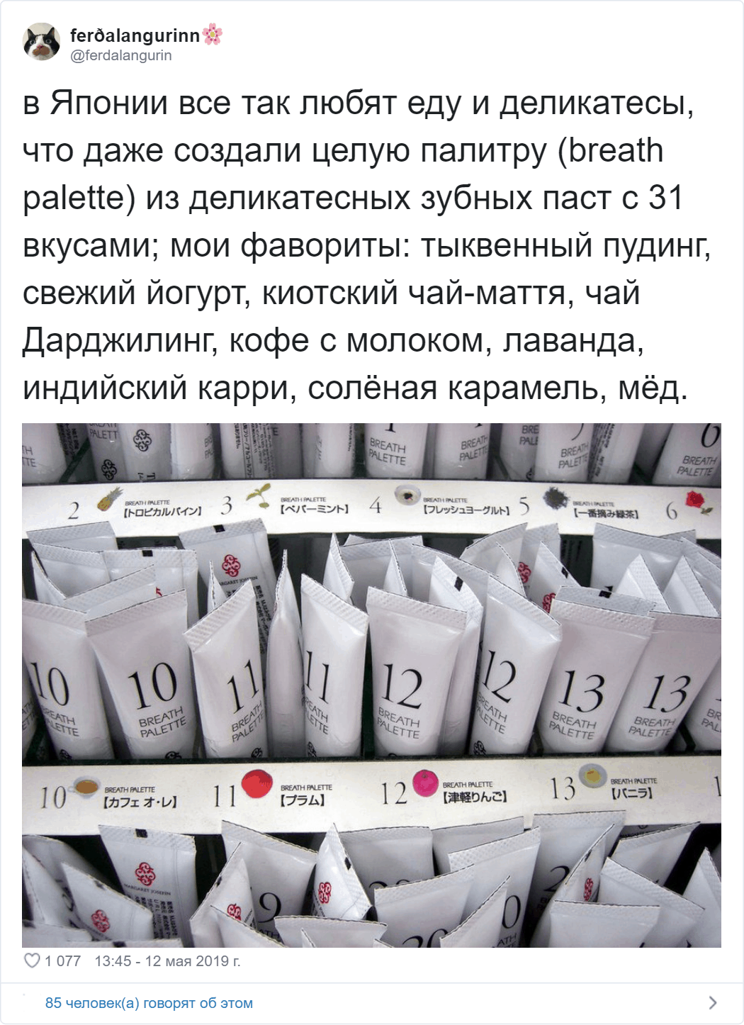 Девушка из России живёт в Японии и рассказывает об этой стране так, как не сумеет ни один гид жизнь,интересное,япония