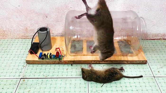 Как сделать электрическую ловушку для мышей и крыс пластины, можно, провода, отверстие, бутылка, бутылки, которые, соседние, диаметром, провод, банок, пластине, отверстия, конденсатор, размером, наших, больше, пластиковую, чтобы, пластину