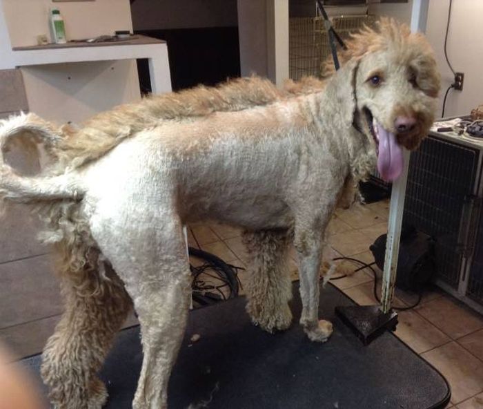 Прикольные картинки. Вечерний выпуск (100 фото)