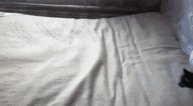 Веселые и забавные жизненные ситуации в гифках 