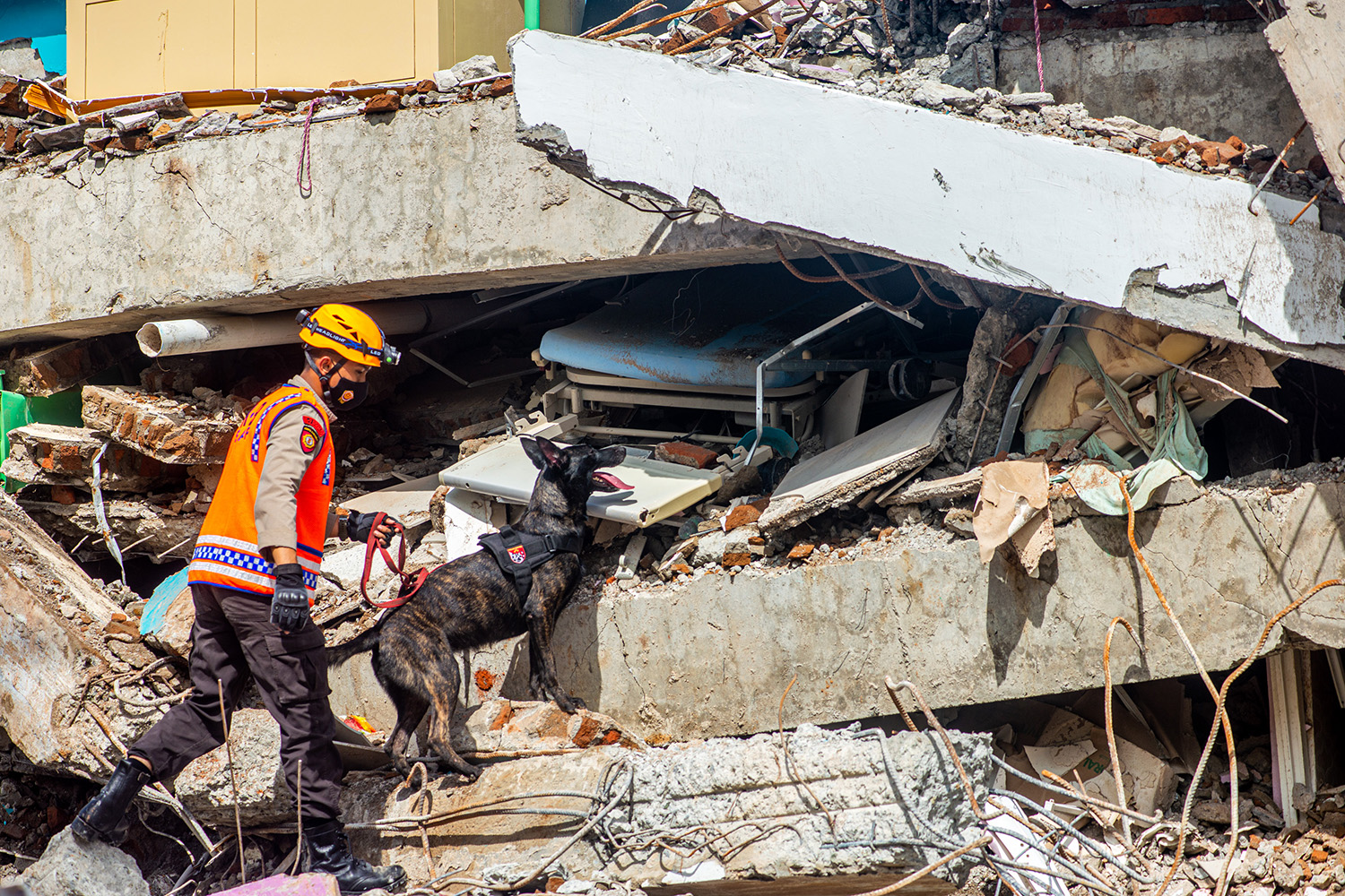 Фильмы про море 2022. Китайский фильм месть земли. Экологическое бедствие экологическая катастрофа. Самые большие катаклизмы. Разлом сан-андреас фильм цунами.