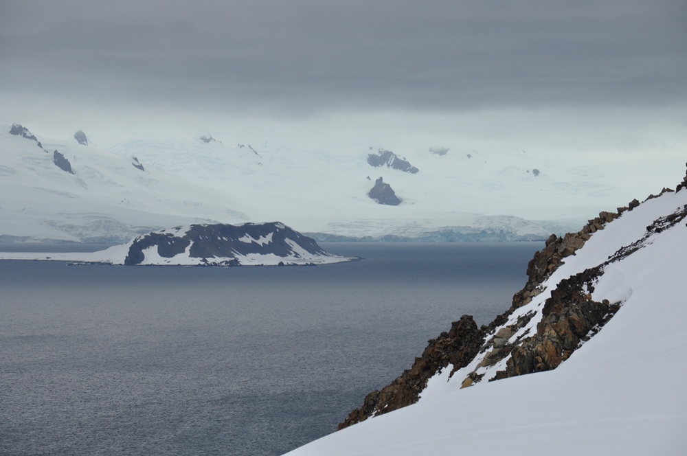 Южные Шетландские острова Yankee, пингвинов, Harbour, птенцы, сейчас, можно, Антарктики, Иоффе», подросли, районе, острова, Greenwich, конечно, Антарктиде, совершить, Впрочем, пингвиньих, последняя, высадка, антарктическая