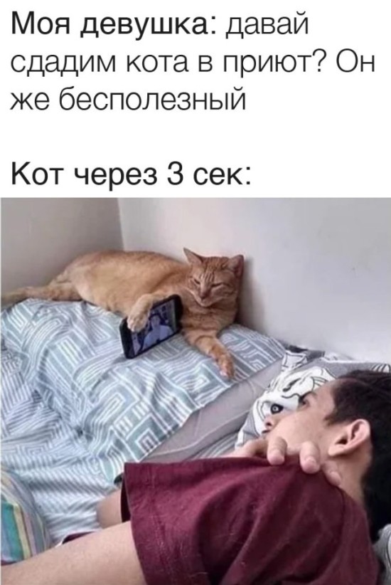 Подборка прикольных картинок 