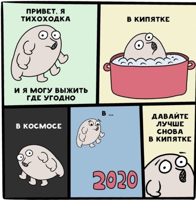 мем о тихоходке и 2020