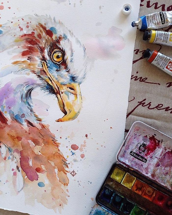 Colorful Watercolor Paintings