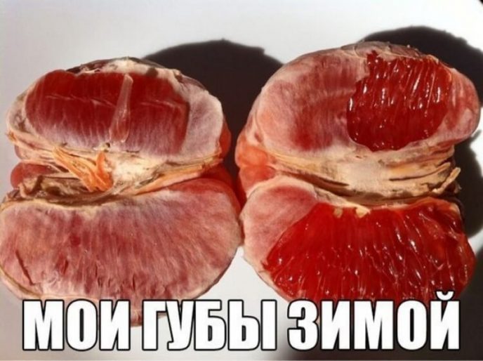 Самые cмешные фотографии, которые 100% поднимут Вам настроение Самые cмешные фотографии, которые 100% поднимут Вам настроение