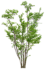 12130885.png